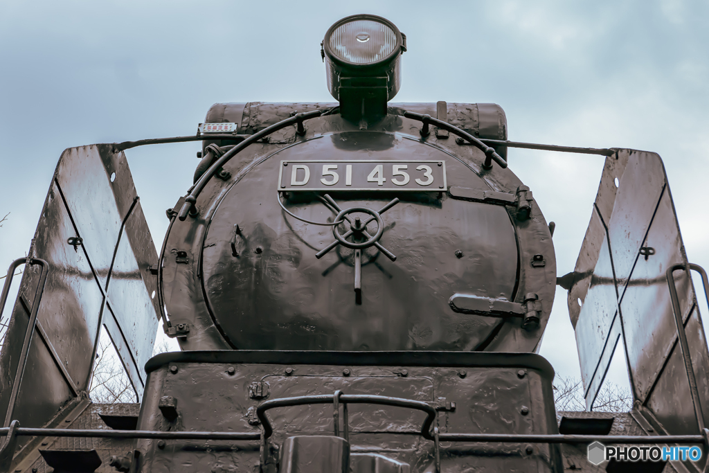 SL D51