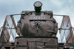 SL D51