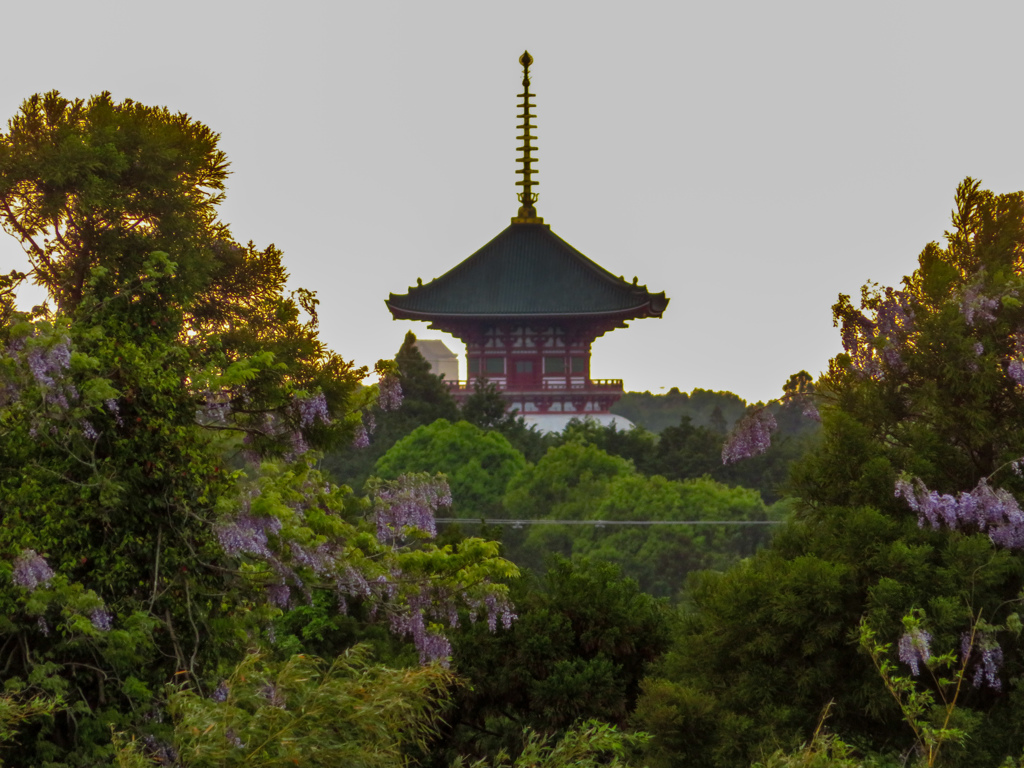 空港の近くから撮影した成田山新勝寺