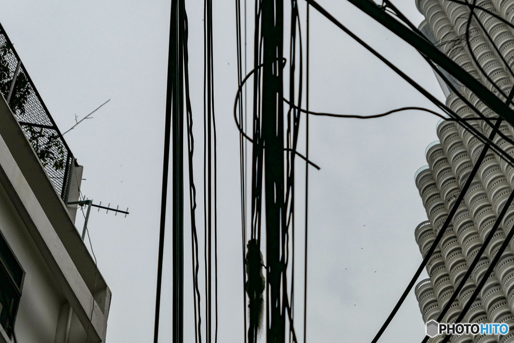 バンコクの電線を走る影