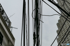 バンコクの電線を走る影