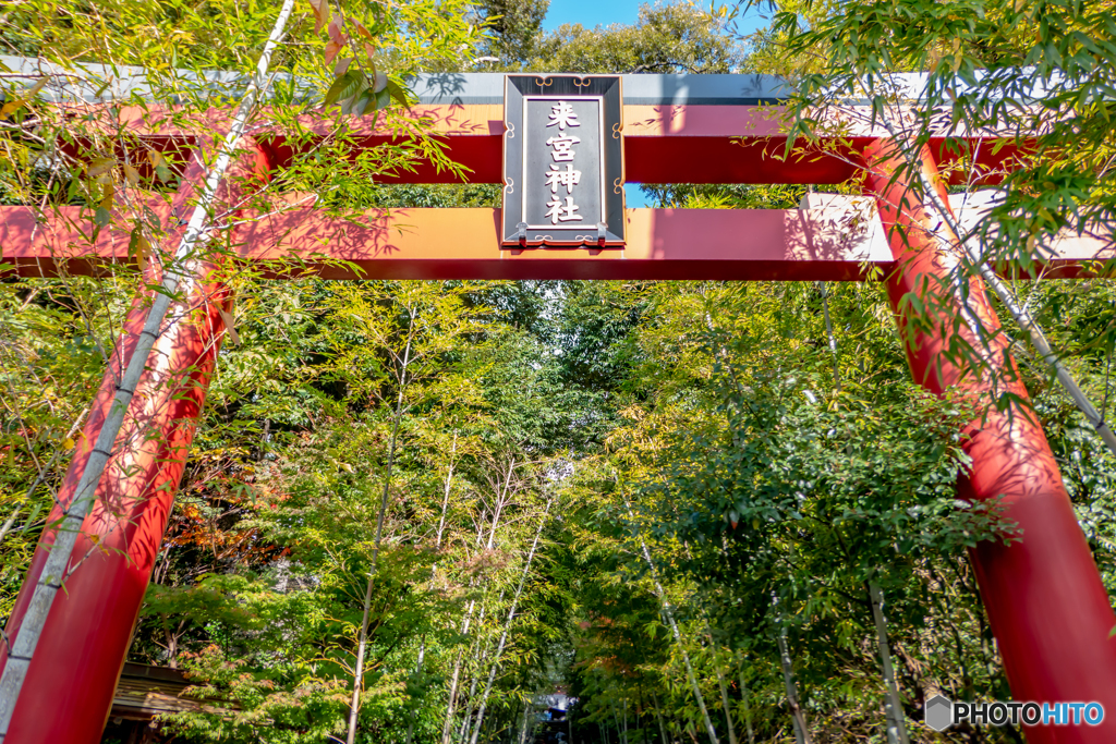 来宮神社の鳥居