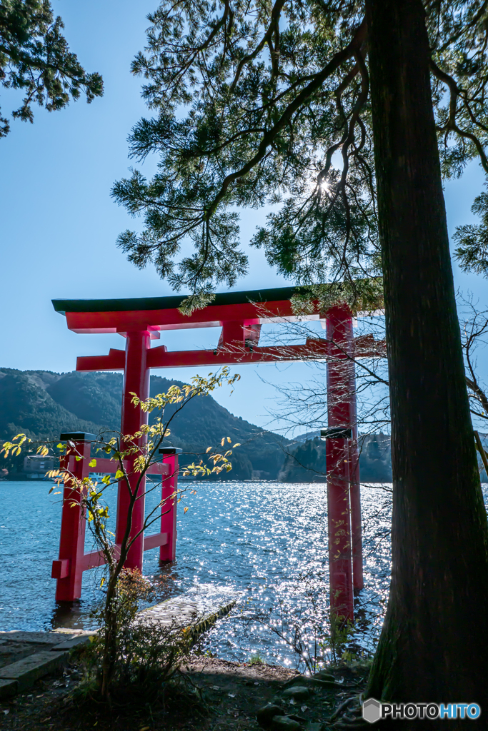箱根神社 平和の鳥居 By Bkk70 Id 写真共有サイト Photohito
