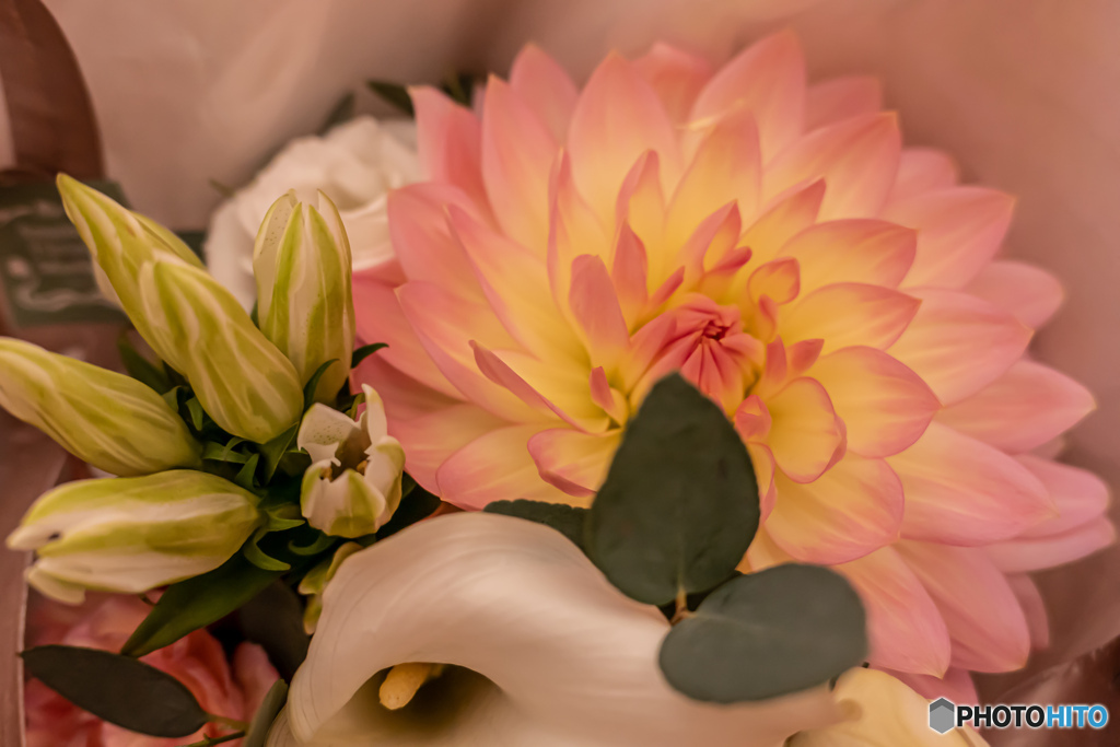 花束