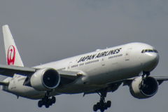 ホテルの部屋から撮影