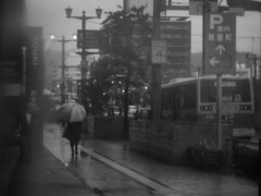 雨また雨