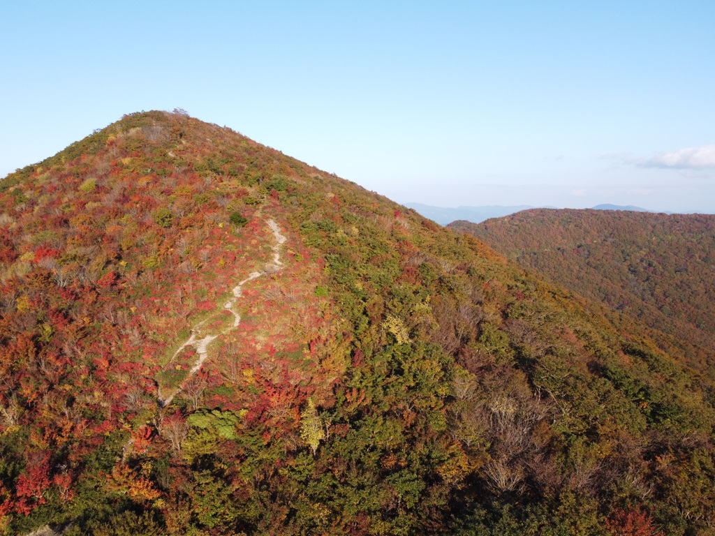 ひろしま県民の森 立烏帽子の紅葉