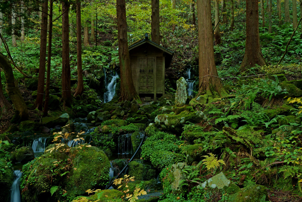 胴腹滝