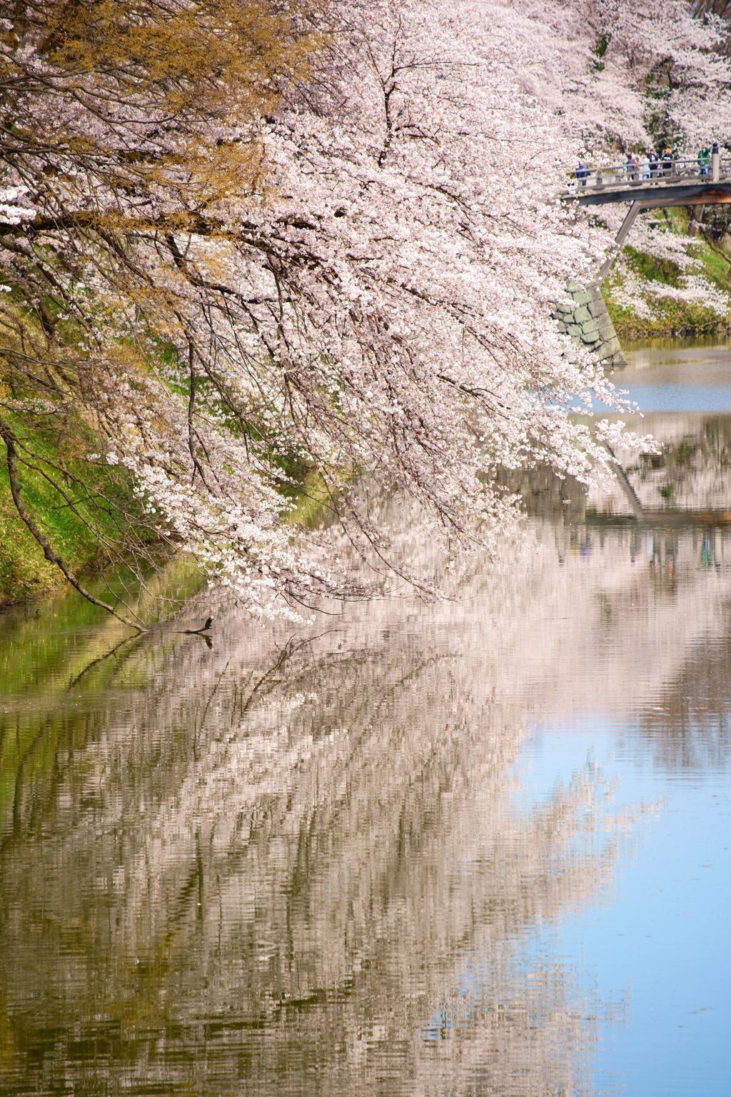 霞城公園