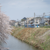 桜と電車と、春のまち