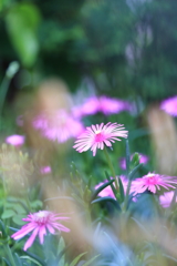 梅雨時