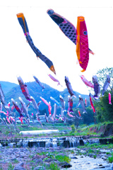 koinobori