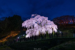 平成最後の滝桜
