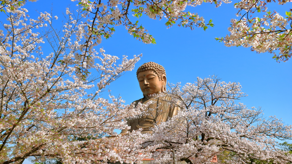 聚楽園大仏
