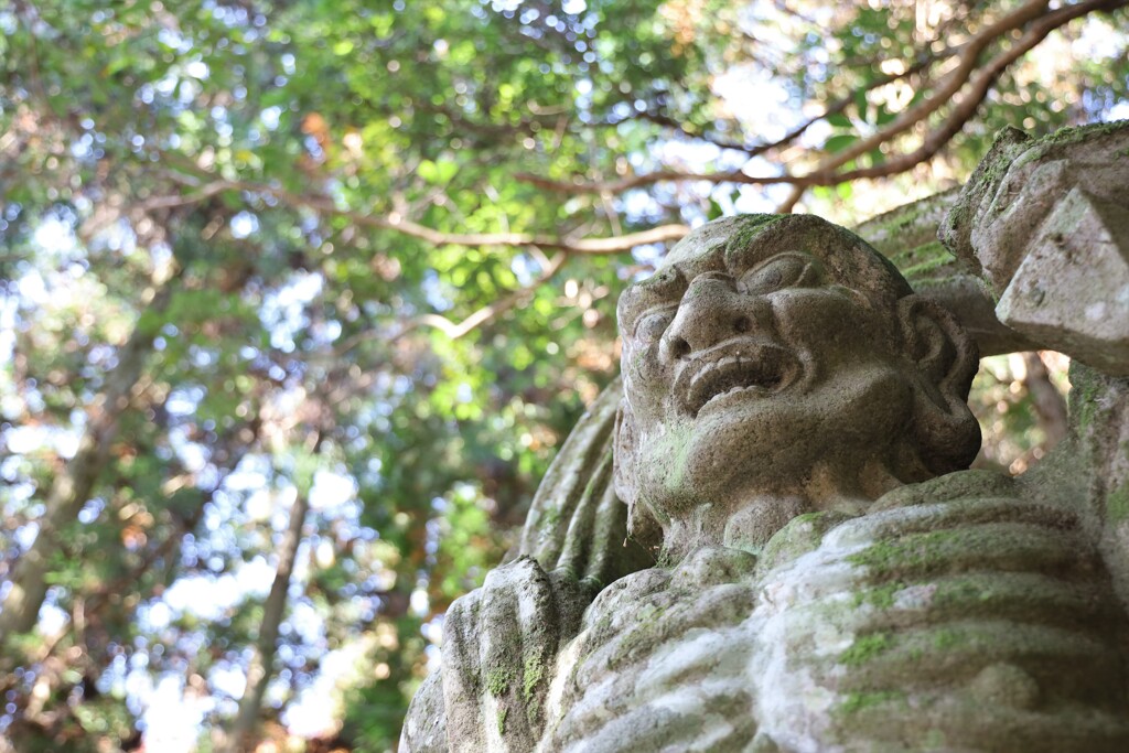 写真撮るんで、笑ってもらってイっすか？