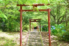 鳥居デイズ