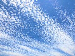 夏空