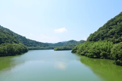 ダムの夏