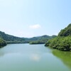 ダムの夏