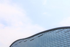 不規則曲線群