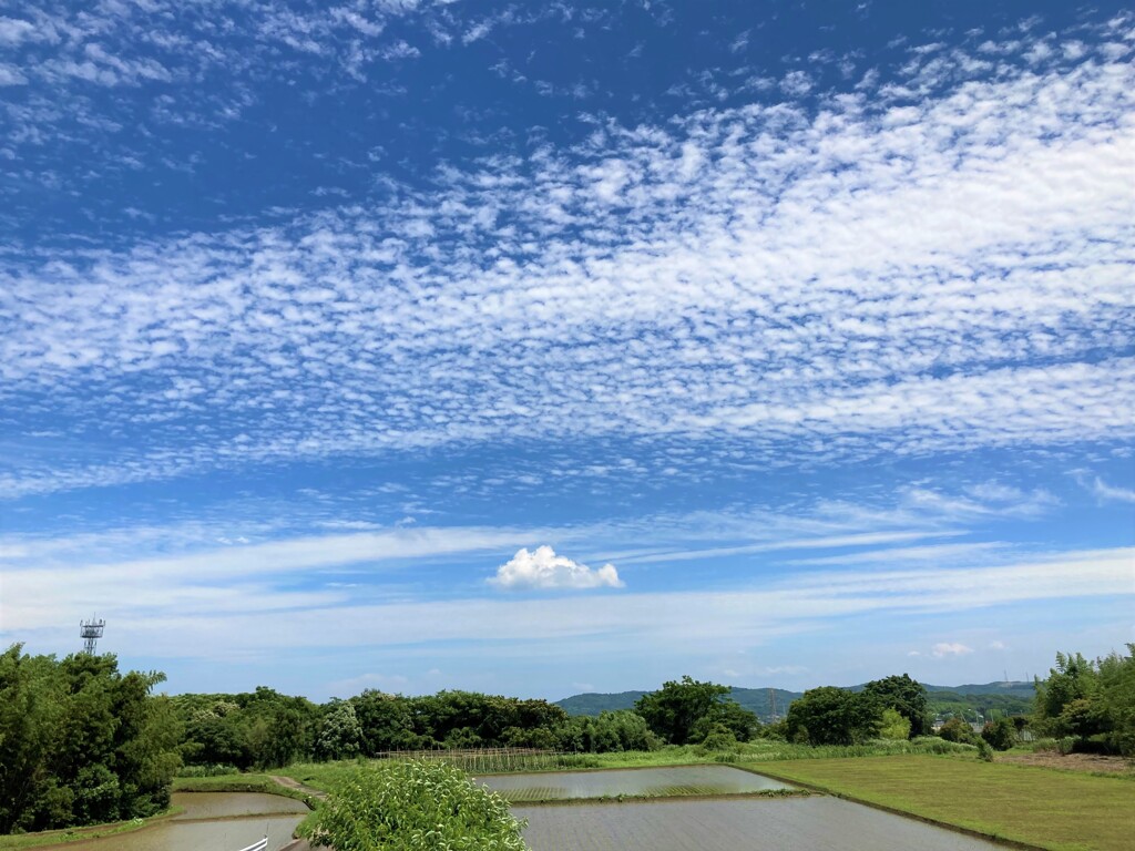 夏、はじめました