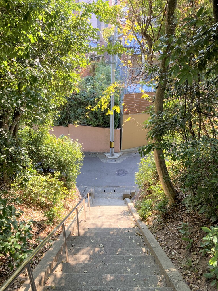 散歩道