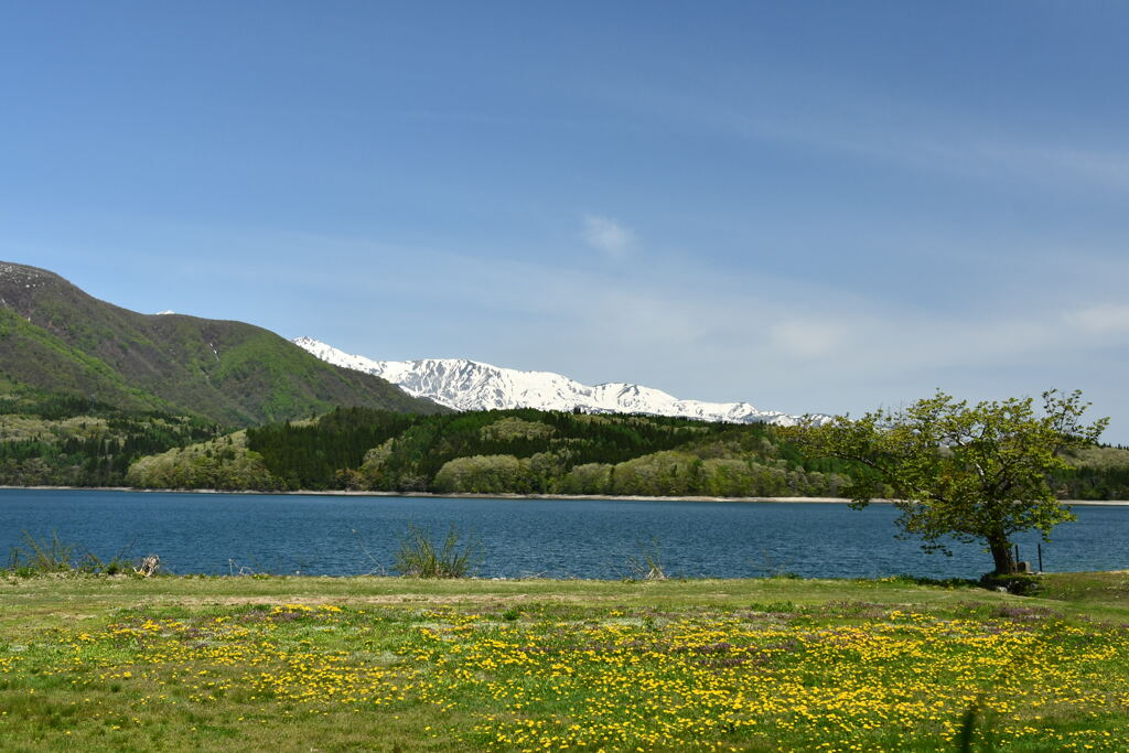 初夏の青木湖