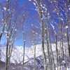 束の間の晴れ間Ⅱ