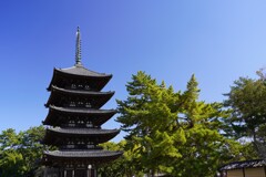 興福寺 五重の塔