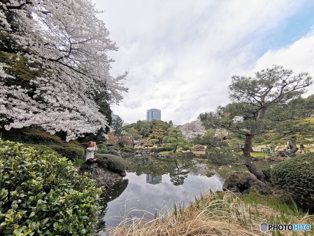 新宿御苑20190402