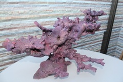 AF5