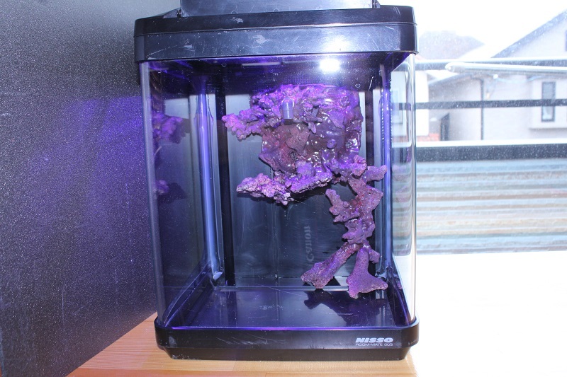 完成1
