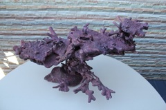 AF2
