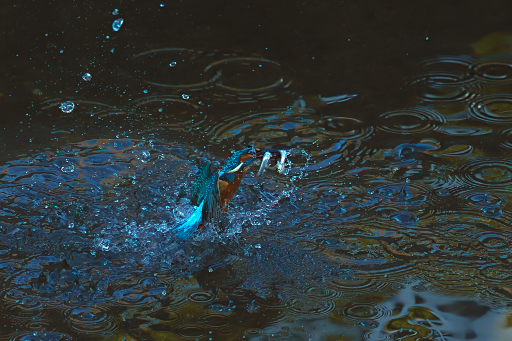 ダブルでゲット