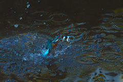 ダブルでゲット