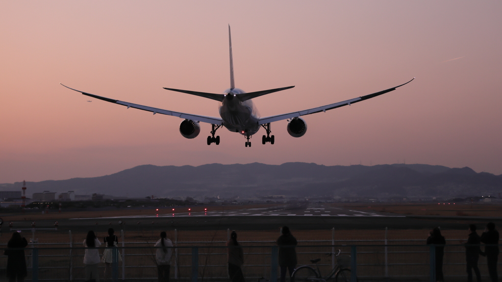 春の伊丹空港