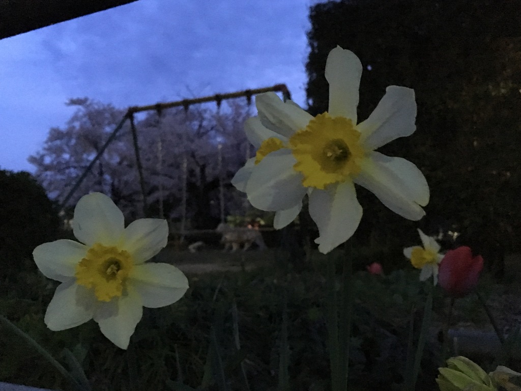 花2