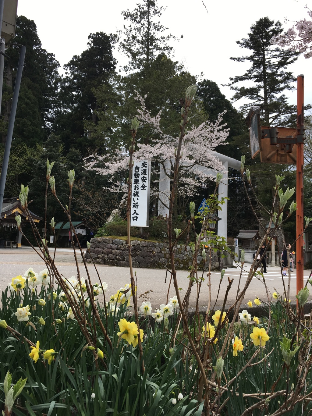 白山比咩神社4