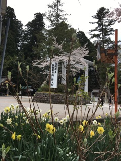 白山比咩神社4