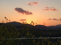 夕焼け