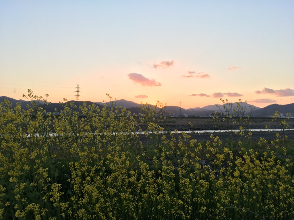 夕焼け2