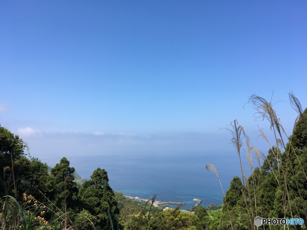 海