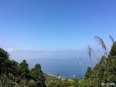 海