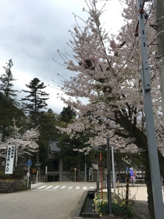 白山比咩神社3