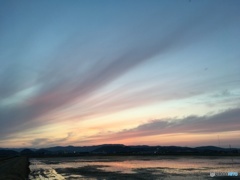 本日の夕暮れ②