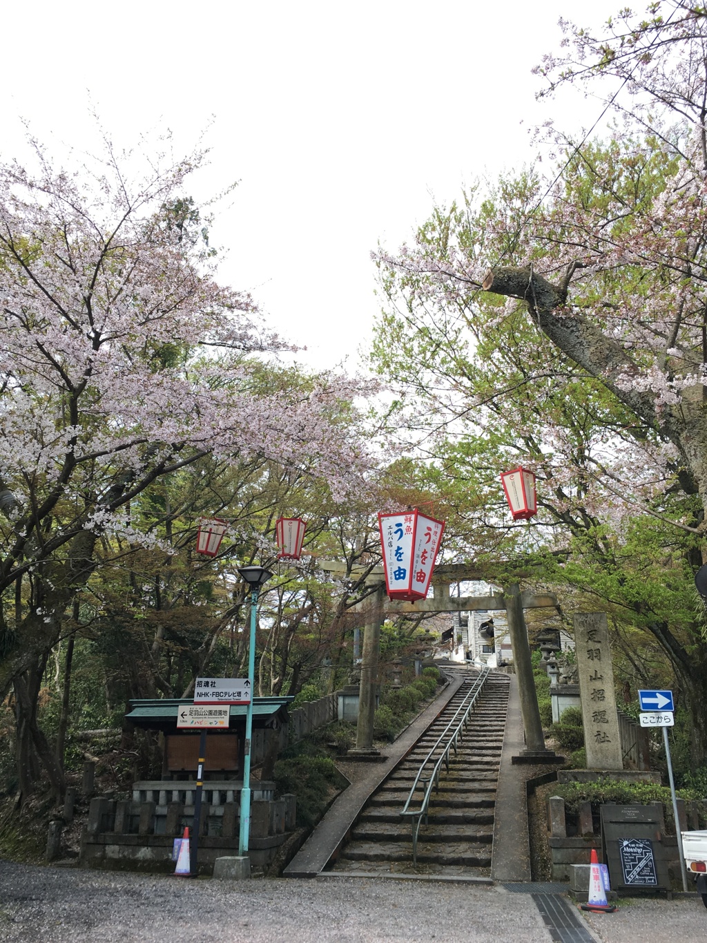 足羽山