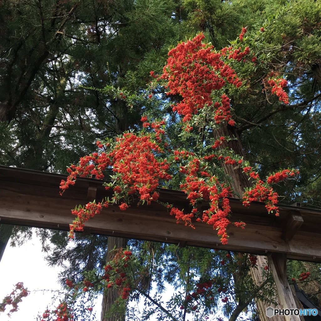劔神社前にて