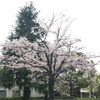 大学病院