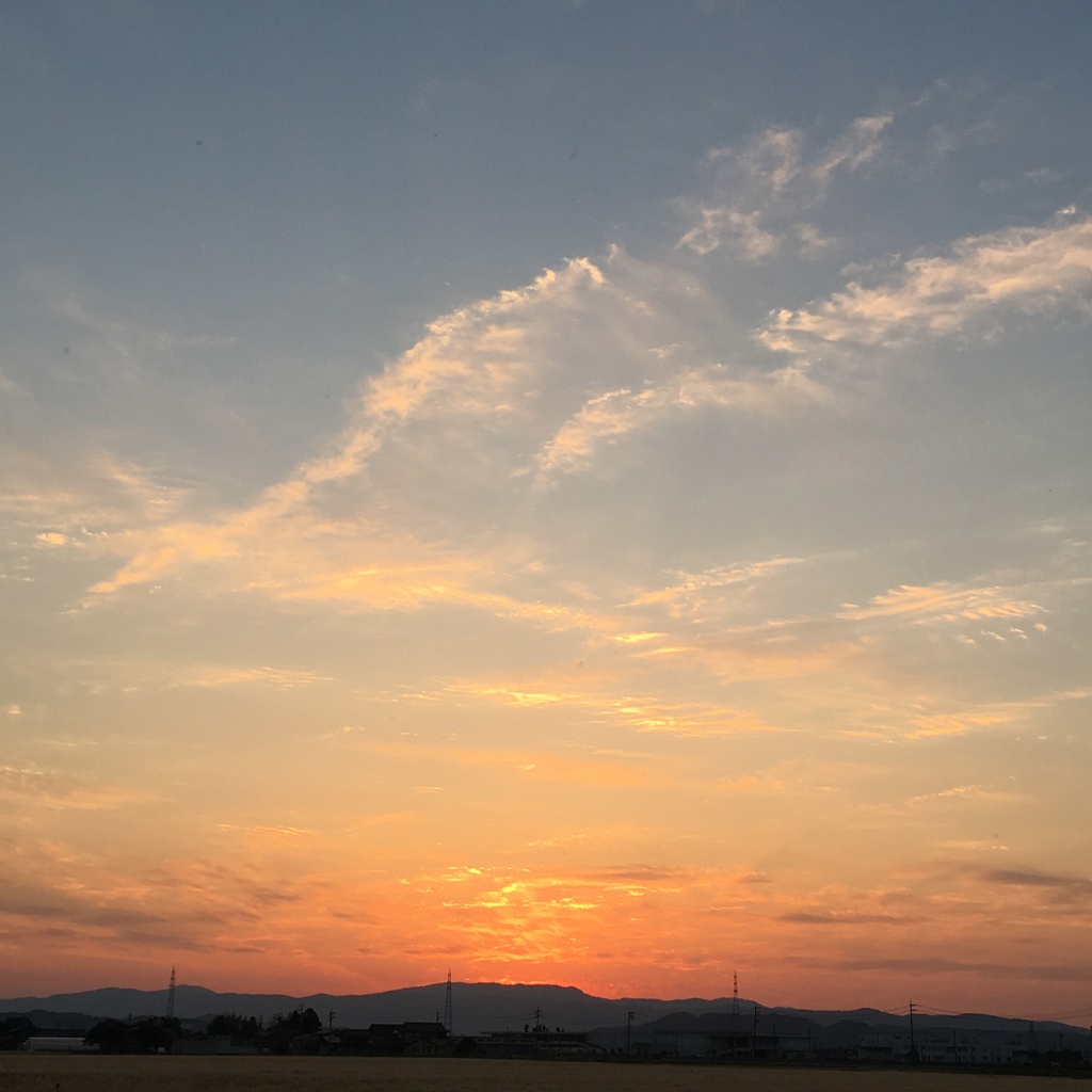 本日の夕暮れ②