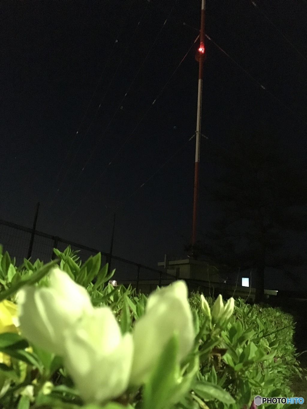 赤と白の